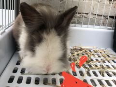 -小意思咖啡店(草桥店)