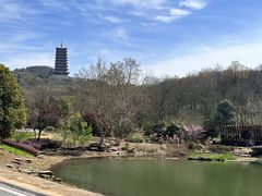 -牛首山文化旅游区