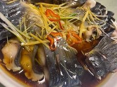 -煲来饱去冷水鱼