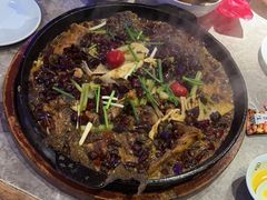 -老板恋上鱼(恒隆广场店)