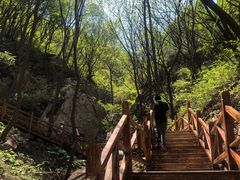-大岭沟猕猴桃谷风景区