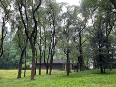-杭州植物园