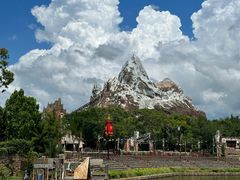 -奥兰多迪士尼动物王国乐园