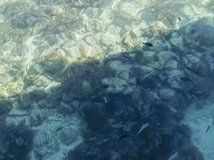 -卡帕莱度假村(西巴丹岛)