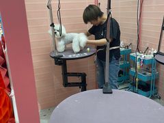-FAELING PETS美天灵宠物(合生汇店)