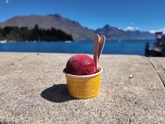 -Patagonia Chocolates(皇后镇店)