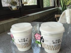 -金鸡湖桃花岛