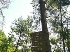 -重庆雨台山风景区
