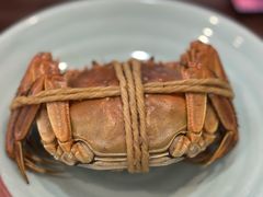 -蟹上黄·蟹黄面·江南糖水(人民广场店)