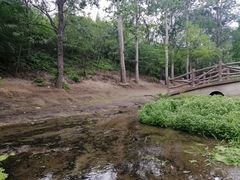 -白水寺森林公园