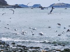 -银沙滩浴场
