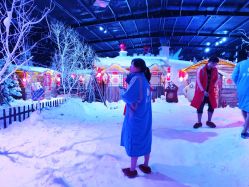 -圣名游乐城冰雪大世界