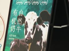 -LELECHA乐乐茶(新街口大洋店)