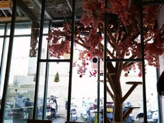 -喵屿·大理花园猫咖