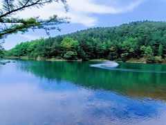 -四明山国家森林公园