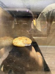 -Zoolung Zoolung动物主题公园(海信广场店)