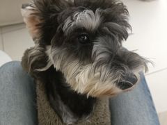 -怪兽屋·羊驼·猫咖·狗咖(俊华广场店)