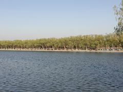 -北陵公园