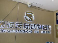 -瑞派·关忠动物医院·猫专科·犬专科(三环新城店)