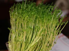 -黄家码头老火锅(解放碑旗舰店)