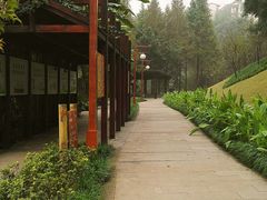 -重庆彩云湖湿地公园
