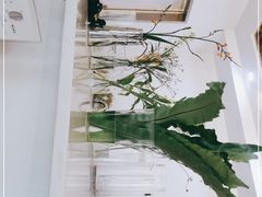 -梵花教室(壹品广场店)