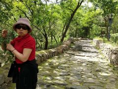 -阳台山自然风景区