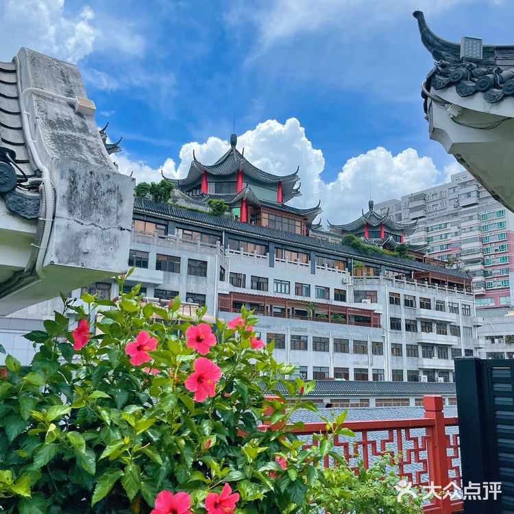 东门隐院，邂逅浪漫空中花园！🏮