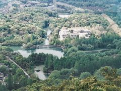 -九曜山
