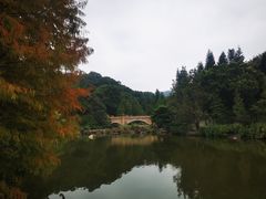 -云溪植物园