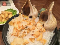 响螺-东海怡品海鲜豆捞(舟宿夜江店)