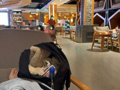 -星河湾温泉洗浴酒店