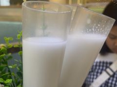 鲜榨椰子汁-探窝·竹笙椰子鸡(杨箕店)