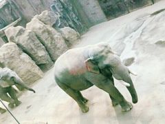 -无锡动物园·太湖欢乐园