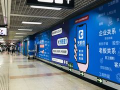 -大望路(地铁站)