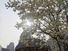 -西湖文化广场