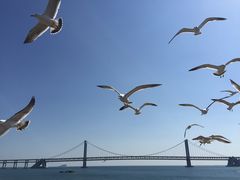 -星海湾跨海大桥