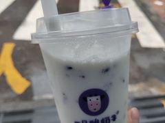 -一只酸奶牛(八一路店)