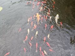 -昆明洲际酒店