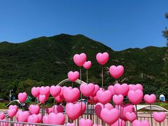 -西涌国际滨海旅游区