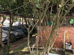 -满記土窑烧鷄波浪山莊