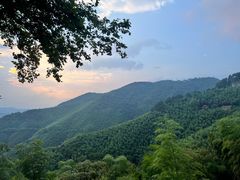 -莫干山风景区
