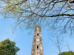 -上海佘山国家森林公园天马山园