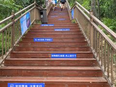 -西霞口神雕山野生动物世界