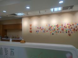 -北京爱育华医院-医疗美容科