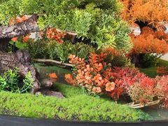 -文涵小院·邻里厨房