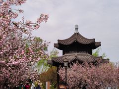 -莫愁湖公园