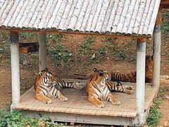 -石家庄市动物园