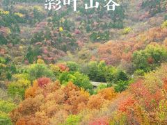 -北宫国家森林公园