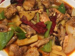伊犁辣皮子烩大盘鸡-西贝(金桥店)